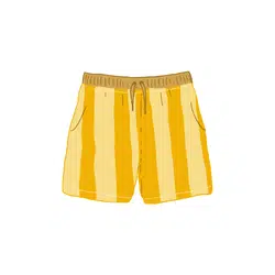 Board Shorts