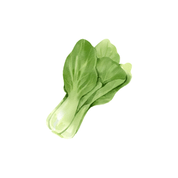 Bok Choy | Spring Vegetables Names