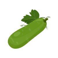 Bottle Gourd