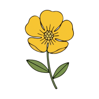 Buttercup