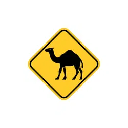 Camel Crossing | Road Symbols Emojis Names
