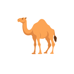 Camel | Animal Emojis Names in English