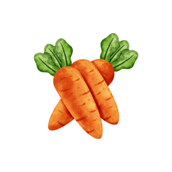 Carrots | Spring Vegetables Names