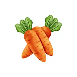 Carrots | Spring Vegetables Names