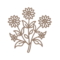 Chickweed