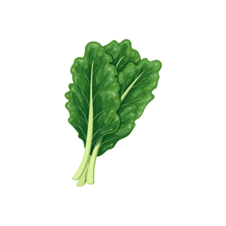 Collard Greens