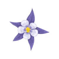 Columbine