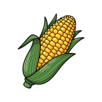 Corn