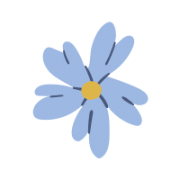 Cornflower
