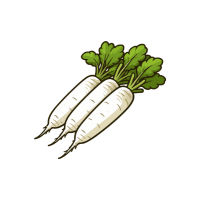 Daikon