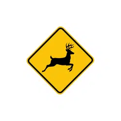Deer Crossing | Road Symbols Emojis Names