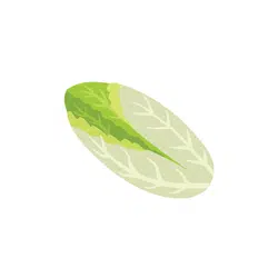 Endive