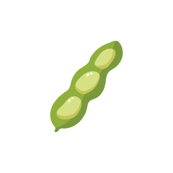 Fava Beans | Spring Vegetables Names