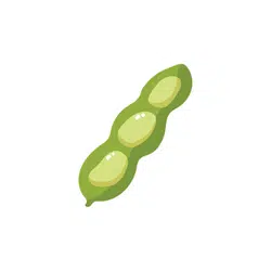 Fava Beans | Spring Vegetables Names