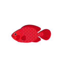 Fish | Animal Emojis Names in English