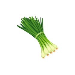 Green Onions | Spring Vegetables Names