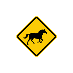 Horse Crossing