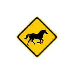 Horse Crossing