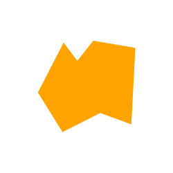 Irregular Polygon