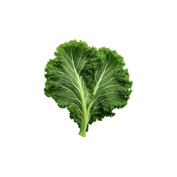 Kale | Spring Vegetables Names