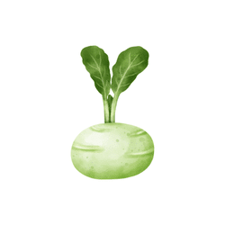 Kohlrabi | Spring Vegetables Names