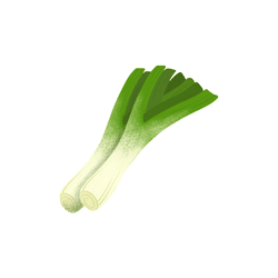 Leeks | Spring Vegetables Names