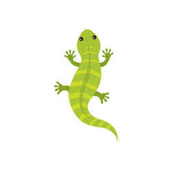 Lizard | Animal Emojis Names in English