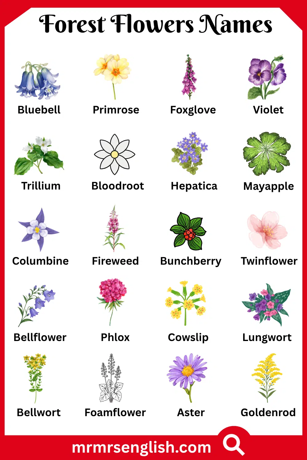 Names of Forest Flowers with Pictures