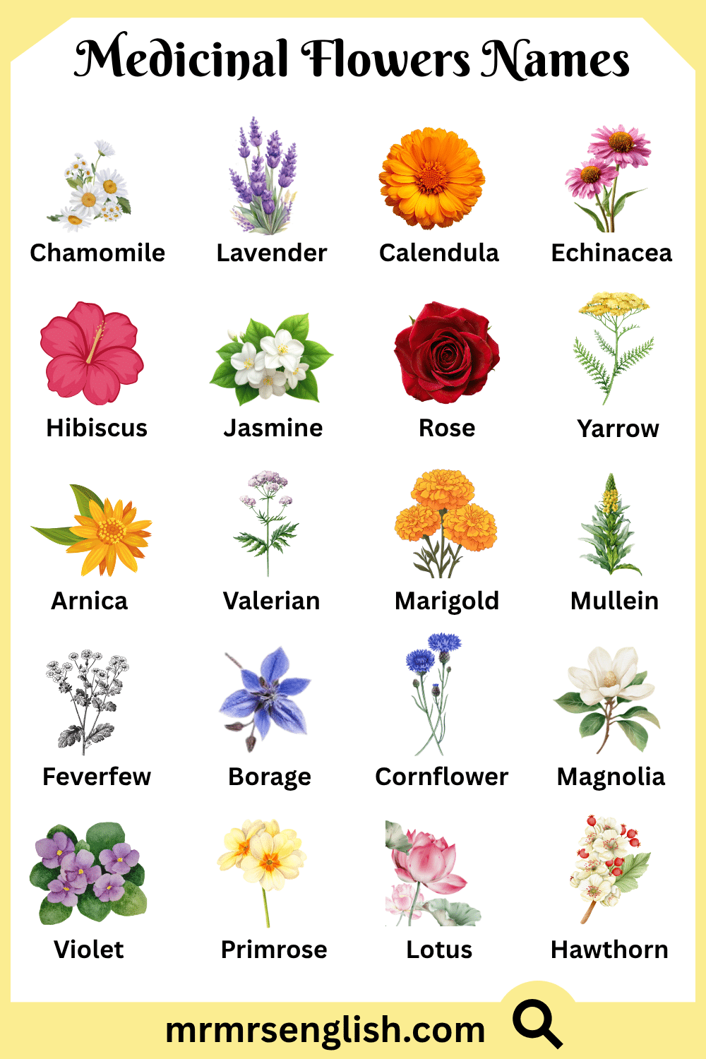Names of Medicinal Flowers with Pictures