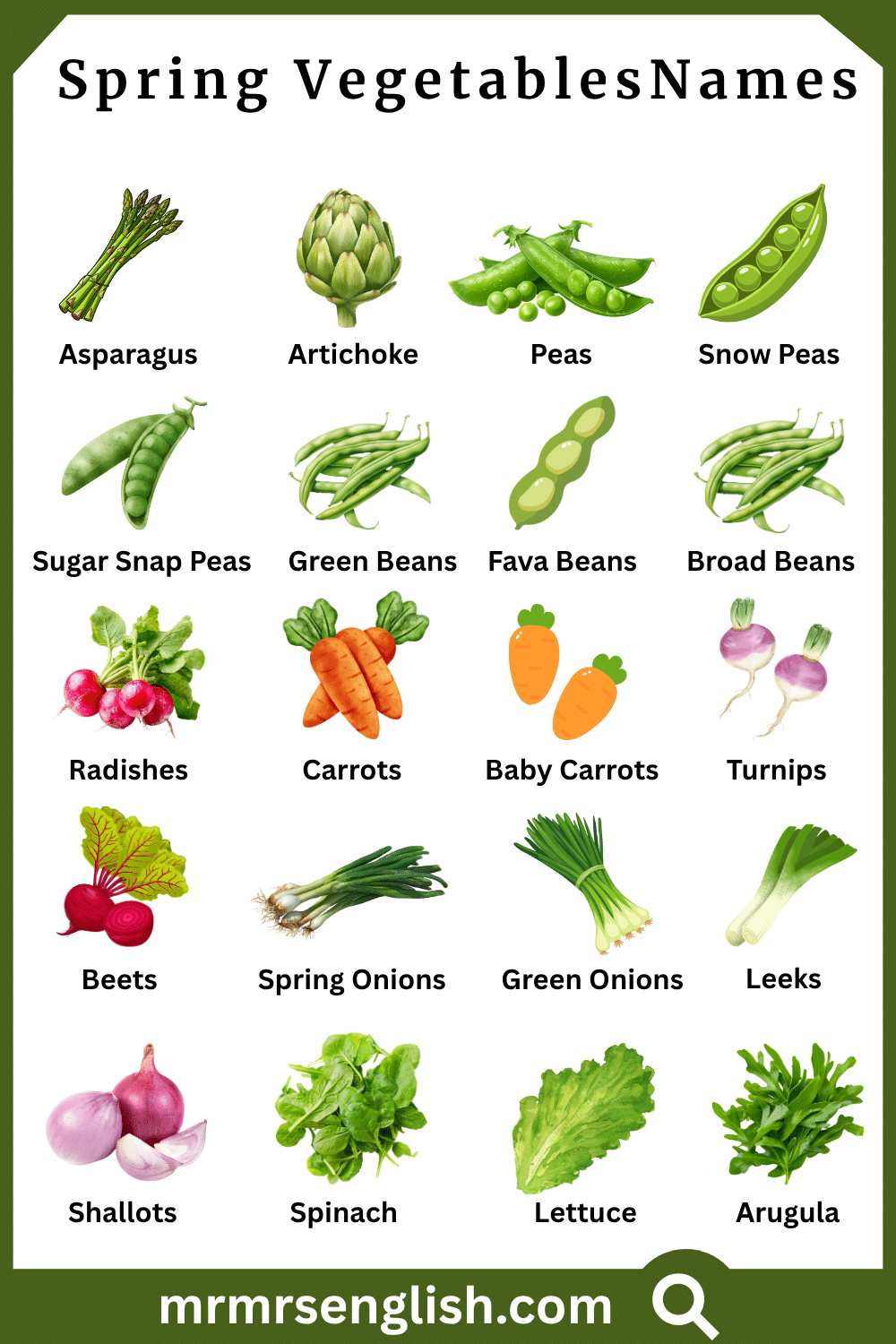 Names of Spring Vegetables with Pictures
