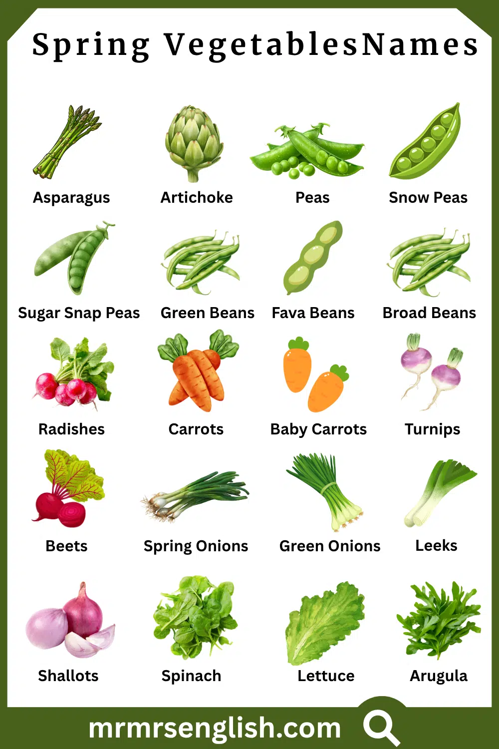 Names of Spring Vegetables with Pictures