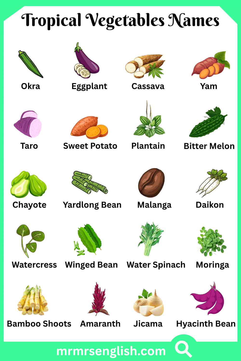 Names of Tropical Vegetables with Pictures