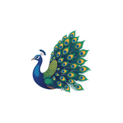 Peacock | Animal Emojis Names in English