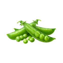 Peas | Spring Vegetables Names