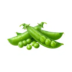 Peas | Spring Vegetables Names