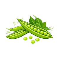 Pigeon Pea