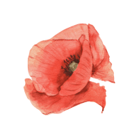 Poppy | Edible Flowers Names