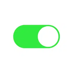 Reed Switch