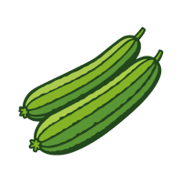 Ridge Gourd | Tropical Vegetables Names