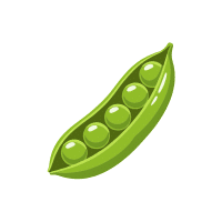Snow Peas | Tropical Vegetables Names