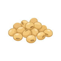 Soybean | Tropical Vegetables Names