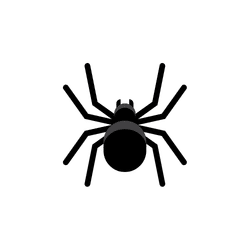 Spider | Animal Emojis Names in English