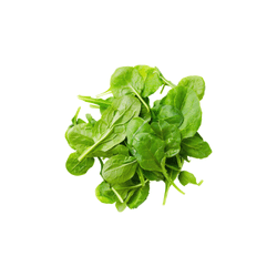 Spinach | Spring Vegetables Names