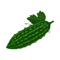 Sponge Gourd | Tropical Vegetables Names
