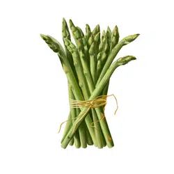 Spring Asparagus