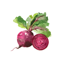 Spring Beets | Spring Vegetables Names