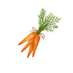 Spring Carrots