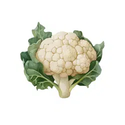 Spring Cauliflower