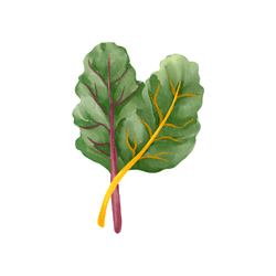 Spring Chard | Spring Vegetables Names