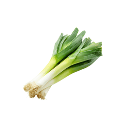 Spring Leeks | Spring Vegetables Names